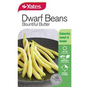 Yates Dwarf Beans Bountiful Butter Seeds
