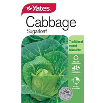 Yates Cabbage Sugar Loaf A Seeds