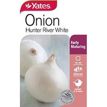 Yates Onion Hunter River White Seeds