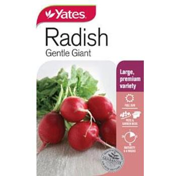 Yates Radish Gentle Giant B Seeds