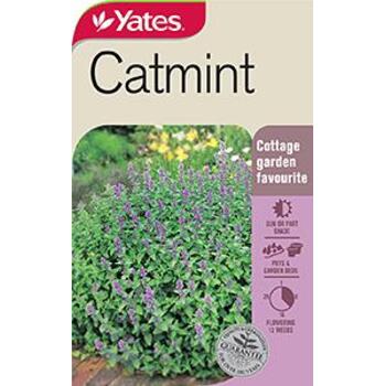 Yates Catmint Seed Yates