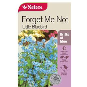 Yates Forget Me Not Bluebird Seeds
