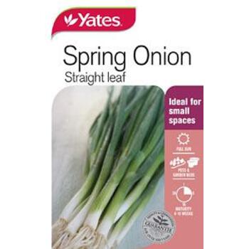 Yates Onion Spring Straight Leaf Seeds