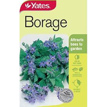Yates Herb Borage B Seeds