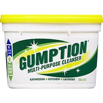 Cleaner Multi Purpose Paste 500g Gumption