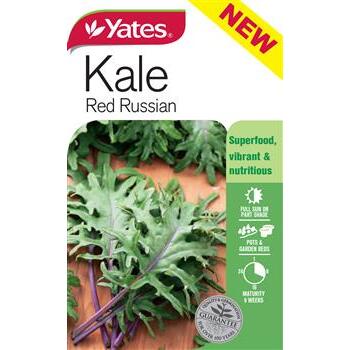Seeds Kale Red Russian B