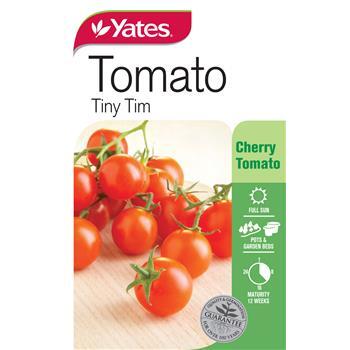 Tomato Tiny Tim Seeds Pkt Yates