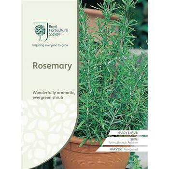 Seeds Rosemary RHS