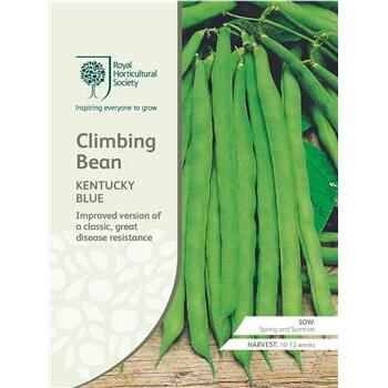 Seeds Climbing Bean Kentucky Blue RHS