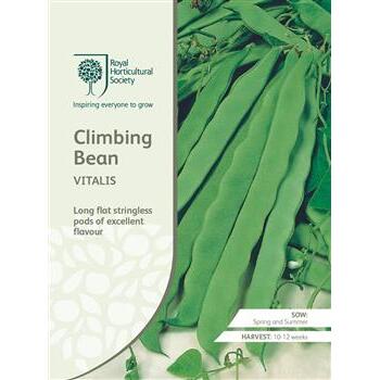 Seeds Climbing Bean Vitalis RHS