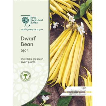 Seeds Dwarf Bean Dior RHS