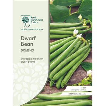 Seeds Dwarf Bean Domino RHS