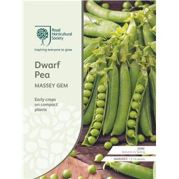 Seeds Dwarf Pea Massey Gem RHS