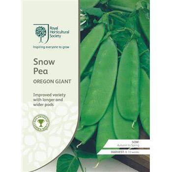Seeds Snow Pea Oregon Giant RHS