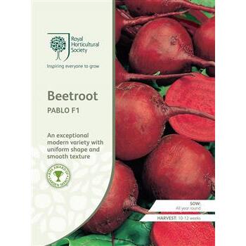 Seeds Beetroot Pablo F1 RHS