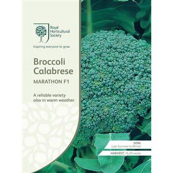 Seeds Broccoli Calabrese Marathon F1 RHS