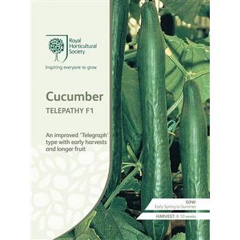 Seeds Cucumber Telepathy F1 RHS