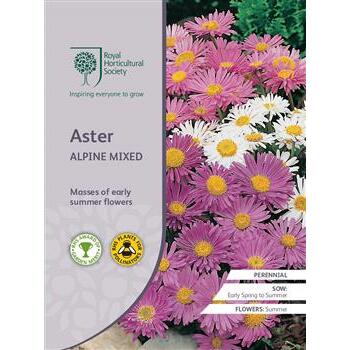 Seeds Aster Alpine Mixed RHS