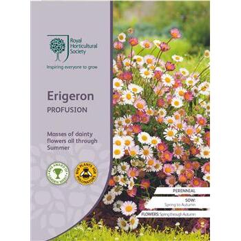 Seeds Erigeron Profusion RHS