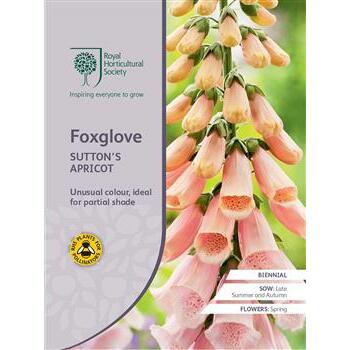Seeds Foxglove Suttons Apricot RHS
