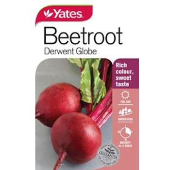 Yates Beet Derwent Globe A Seeds