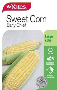 Yates Corn Sweet Early Chief D Seeds