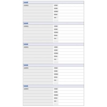 Dayplanner Refill Debden A4 Telephone/Address