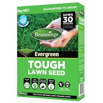 Lawn Seed Tough 1kg