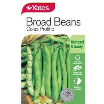 Yates Broad Bean Coles Prolific A Seeds
