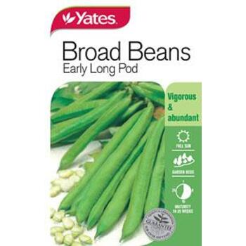 Yates Broad Bean Early Long Pod A Seeds