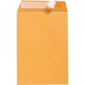 Envelope C4 Strip Seal Gold Pocket Pack 324X229Mm Retail