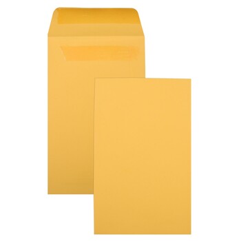 Sp- Envelope C/Land 145X90Mm Self Seal Gold Seed P7 Pocket Bx500