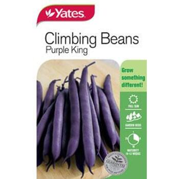 Yates Purple King Climbing Bean A Seeds