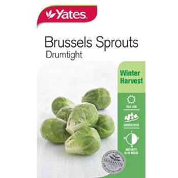 Yates Brussels Sprouts C Seeds