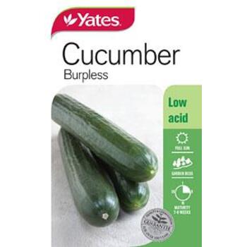 Yates Cucumber Burpless C Seeds