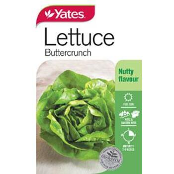 Yates Lettuce Buttercrunch Seeds