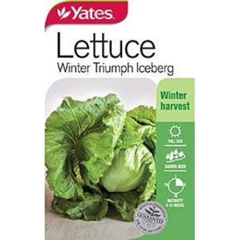 Yates Lettuce Winter Triumph Seeds