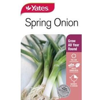 Yates Onion Spring Seeds