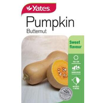 Yates Pumpkin Butternut Seeds