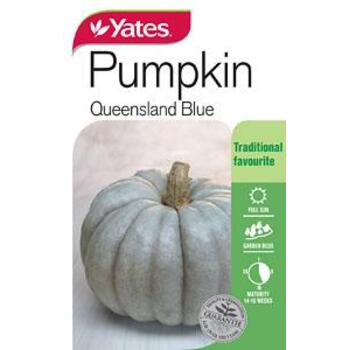 Yates Pumpkin Queensland Blue Seeds