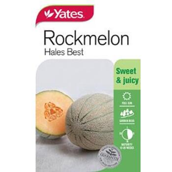 Yates Rockmelon Hales Best Seeds
