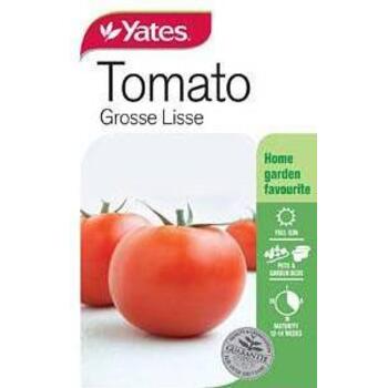 Yates Tomato Grosse Lisse A Seeds