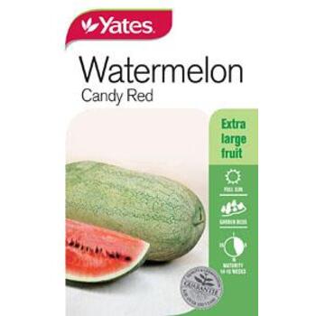 Yates Watermelon Candy Red A Seeds