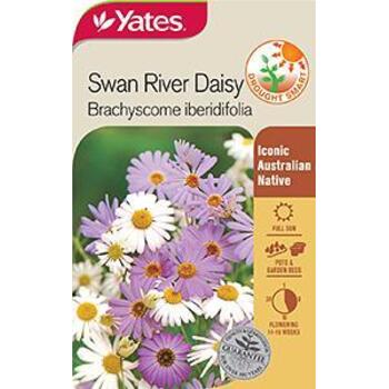 Yates Australian Native Swan River Daisy