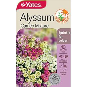Yates Alyssum Cameo Mix Seeds