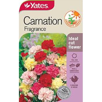 Yates Carnation Fragrance