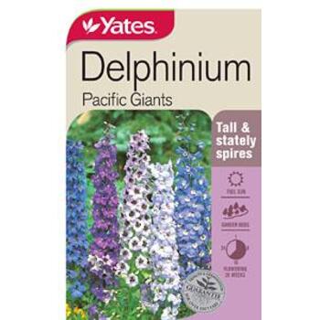 Yates Delphinium Pacific Giants