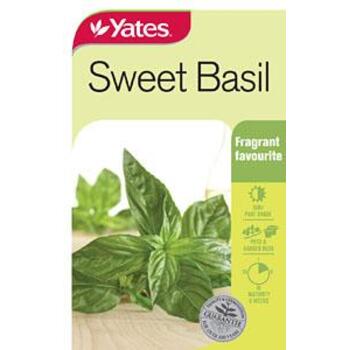 Yates Sweet Basil B Seeds
