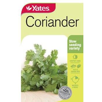 Yates Coriander B Seeds