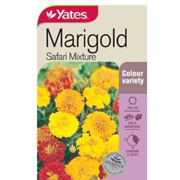 Yates Marigold Safari Mixture